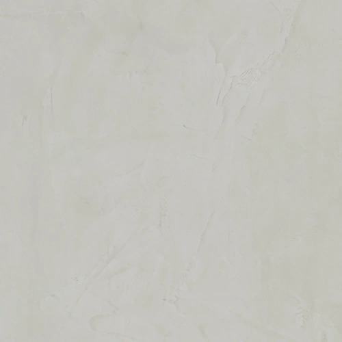 E-5009
