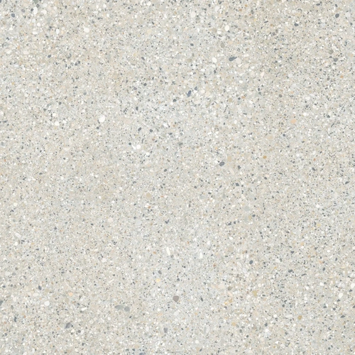 E-5007