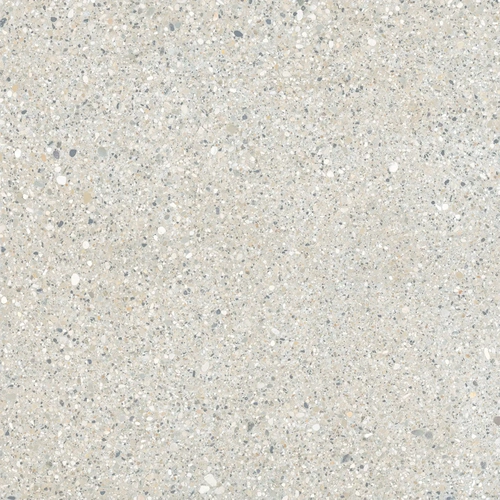 E-5007