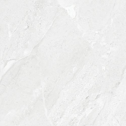 E-5031